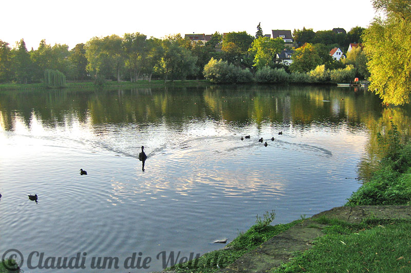 Allstedt_teich