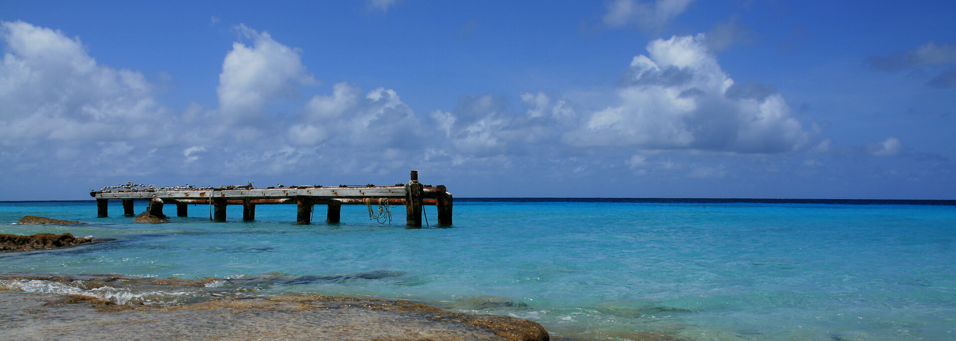 Fotos: Curacao am und unter Wasser