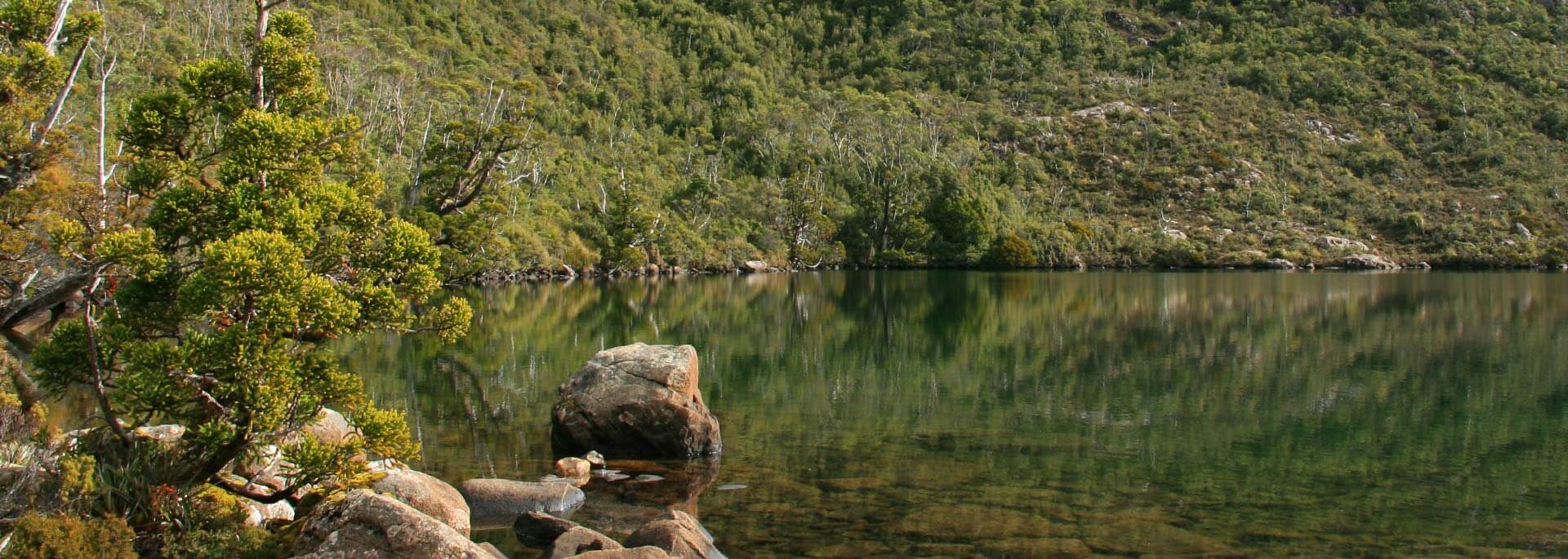 Wie ich Walpurgisnacht im australischen Hartz verbrachte
