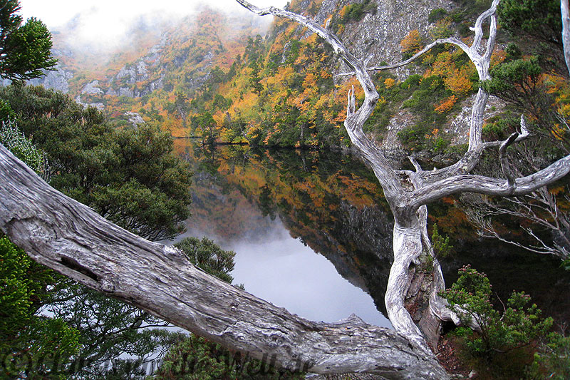 Cradle Mountain See