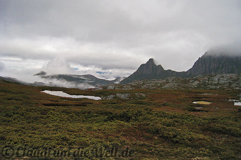Cradle Mountain  Tasmanien