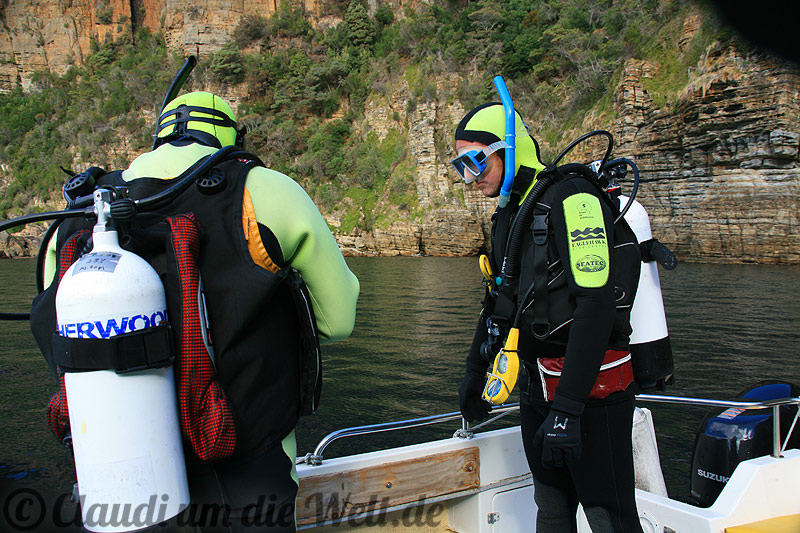 Tauchen Eaglehawk Neck, Tasmanien