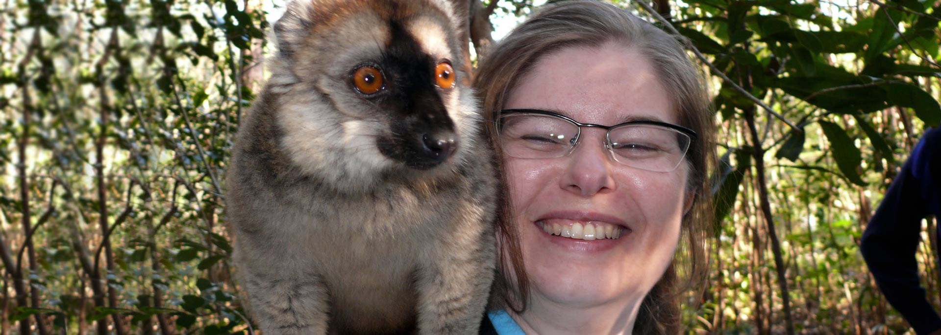 Wie ich auf Madagaskar die Lemuren kitzelte