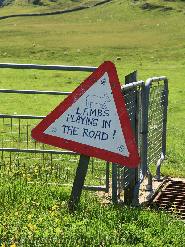 Shetland-Insel Fetlar: Warnschild