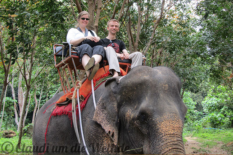 Ko Lanta Elefantenreiten