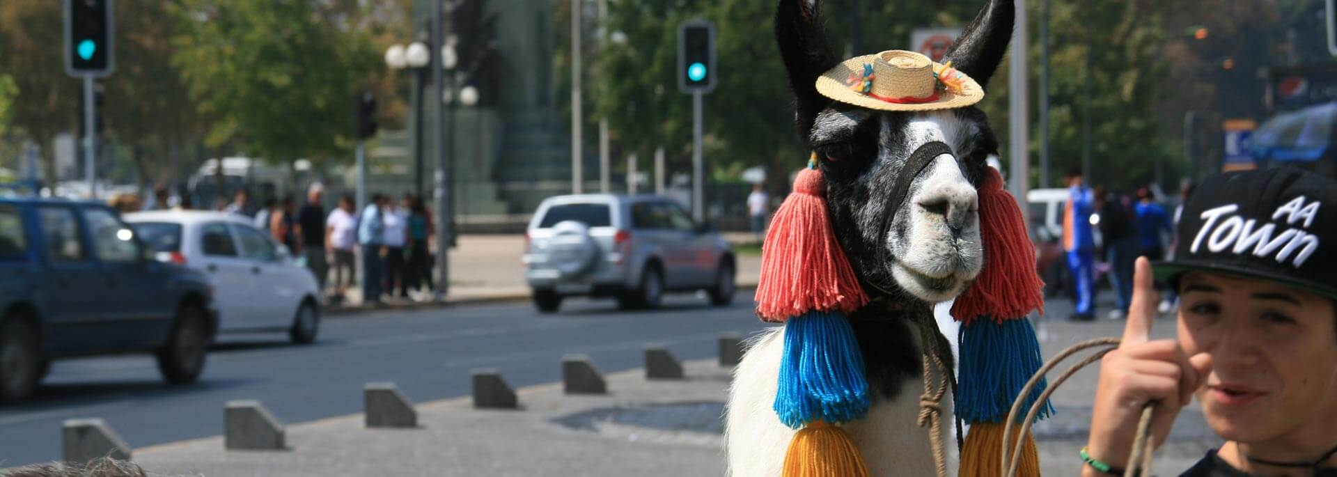 Wie ich in Santiago de Chile mit Currywurst zur heiligen Maria auffuhr