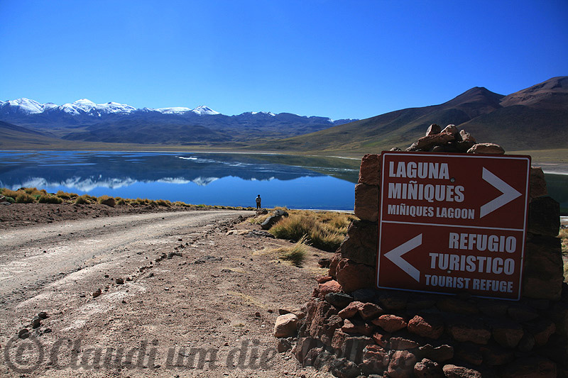 Altiplano Laguna Mista Altiplano Laguna Mista