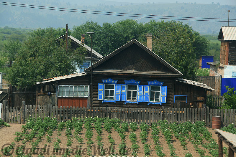 Sibirien Kartoffelgarten