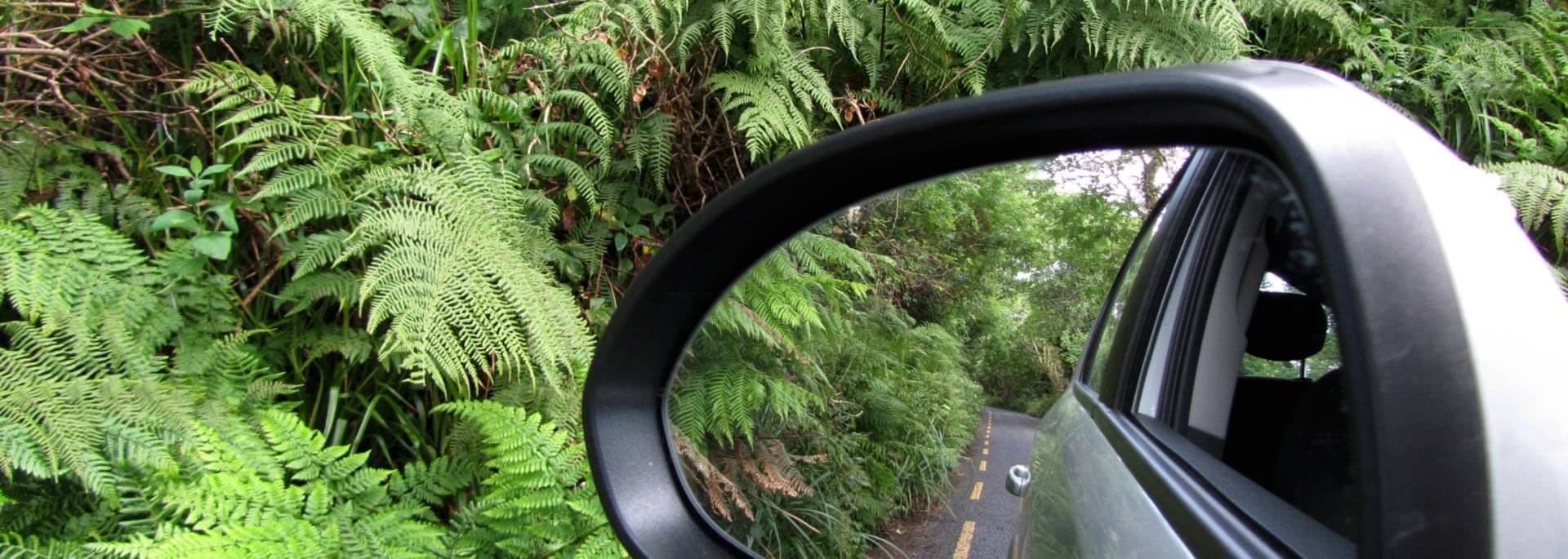 Was Charlie Chaplin mit dem Ring of Kerry zu tun hat