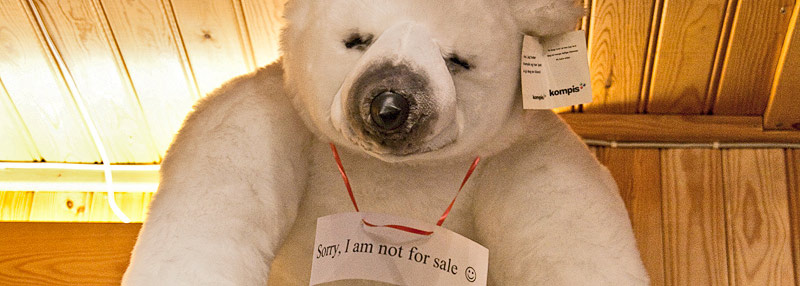 Tromsoe Eisbär