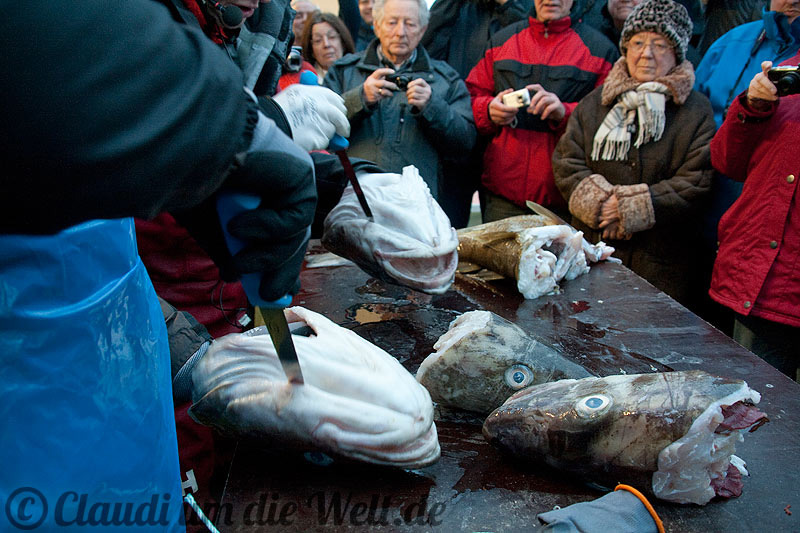 hurtigruten_kabeljauzungen