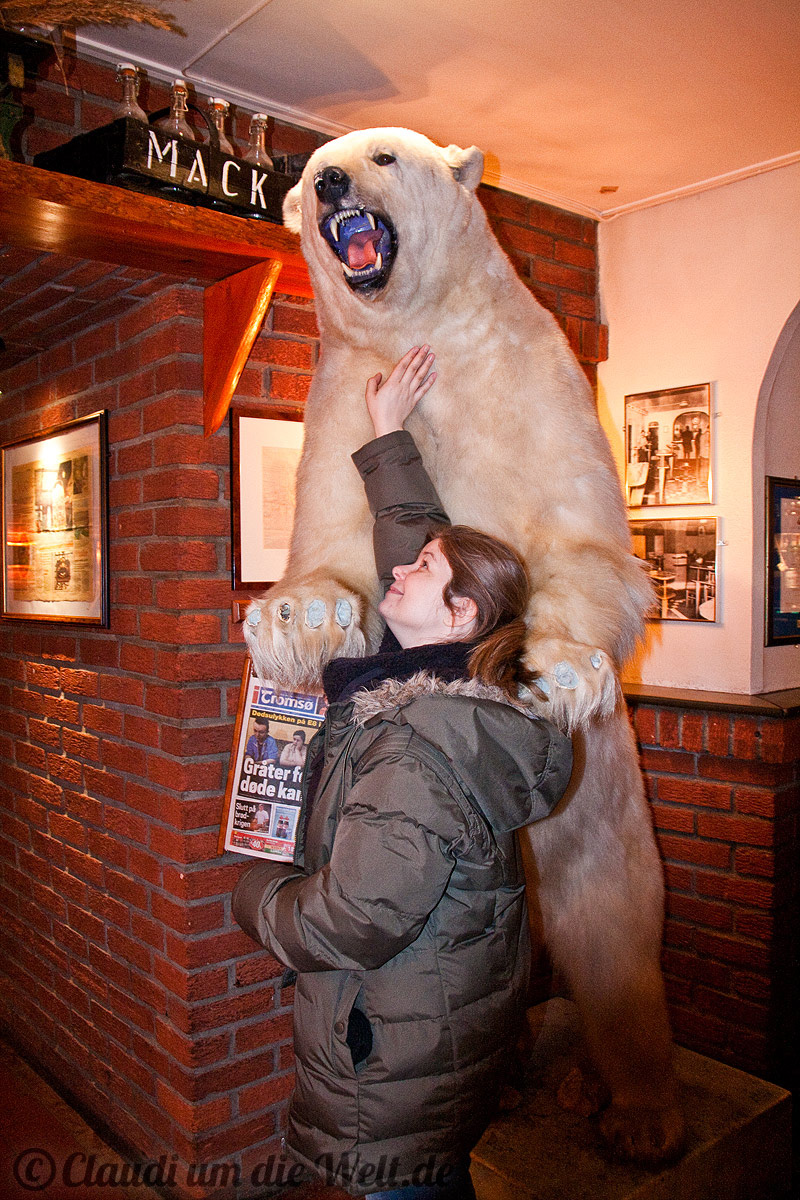 Eisbär in der Ölhallen von Tromsö