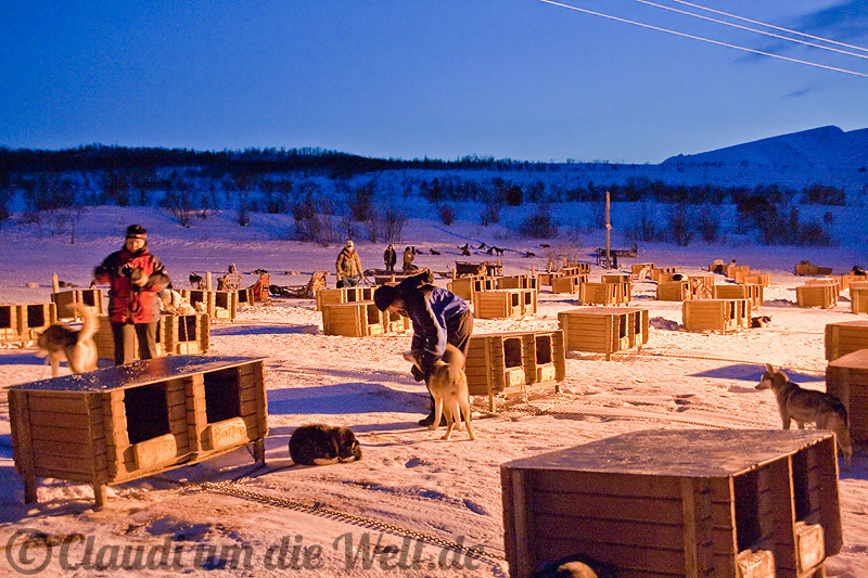 norwegen_hundeschlitten_huskyfarm