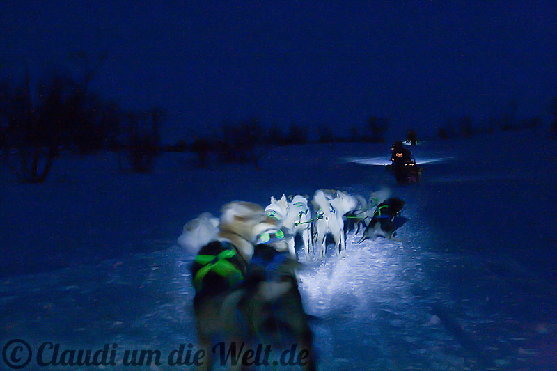 norwegen_hundeschlittenfahrt