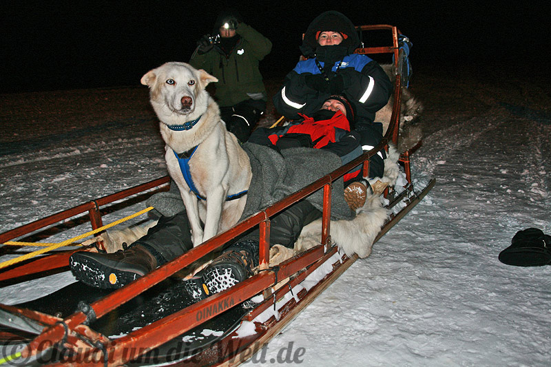 norwegen_mit-husky-im-schlitten
