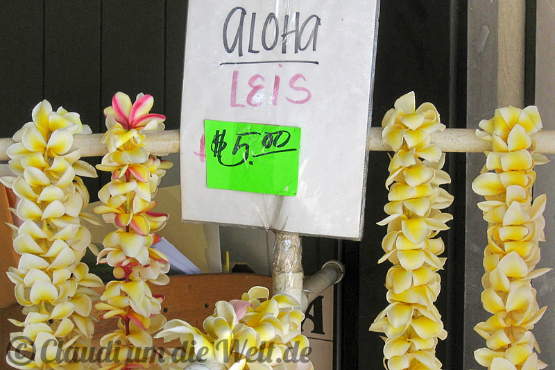 Hawaii-aloha-leis