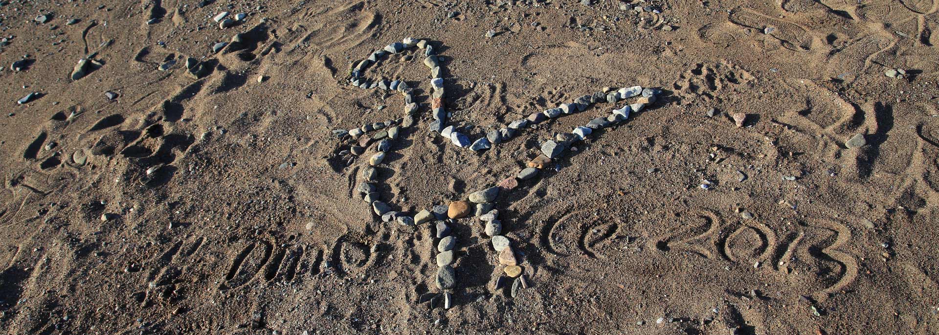 Ein Tag auf dem urzeitlichen Spielplatz der Bay of Fundy