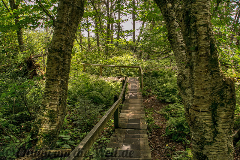 Balancing Rock Trail