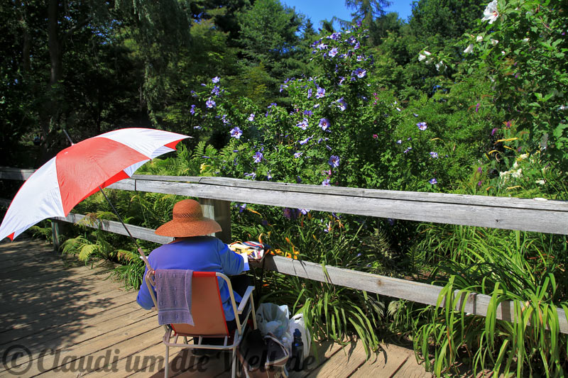 Malerin im historic garden annapolis