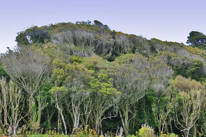 Neuseeland_Suedinsel_5348