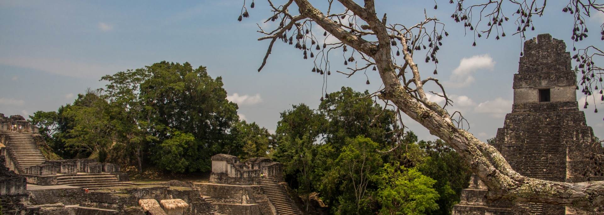 Reisetipp: Tikal – Guatemalas größte Mayastätte