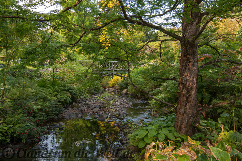 Schottland Dunvegan Castle Garten