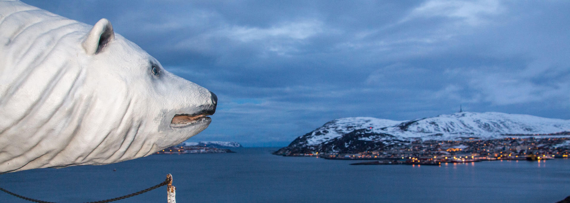 Wie ich in Hammerfest in den Eisbärenclub eintrat