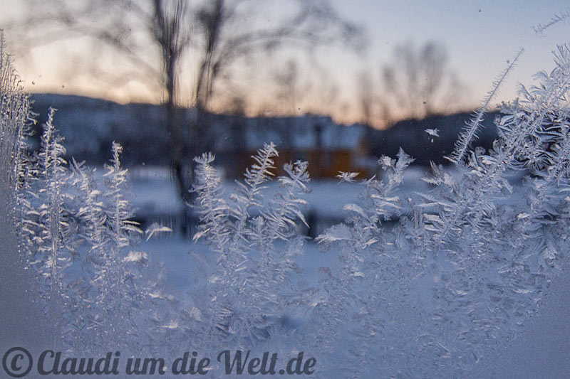 Eisblumen Lappland