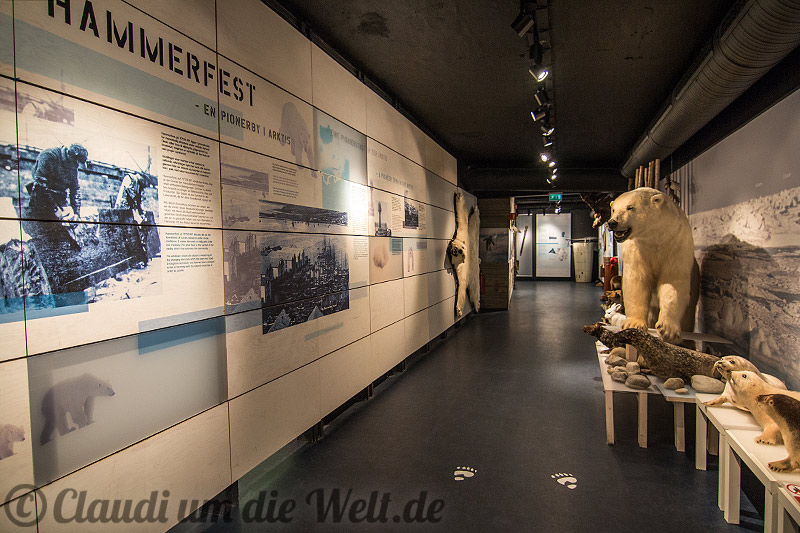 Hammerfest Eisbärenclub Ausstellung