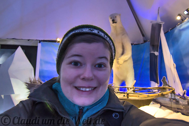 Fram Museum Oslo: Eisbär