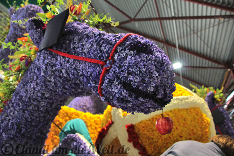 Holland Bollenstreek Blumencorso