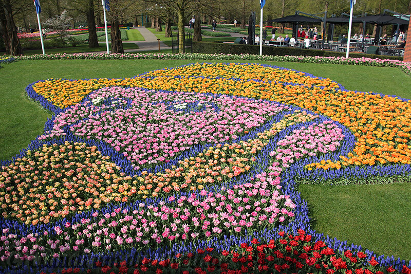 Tulpen Van Gogh Keukenhof Holland