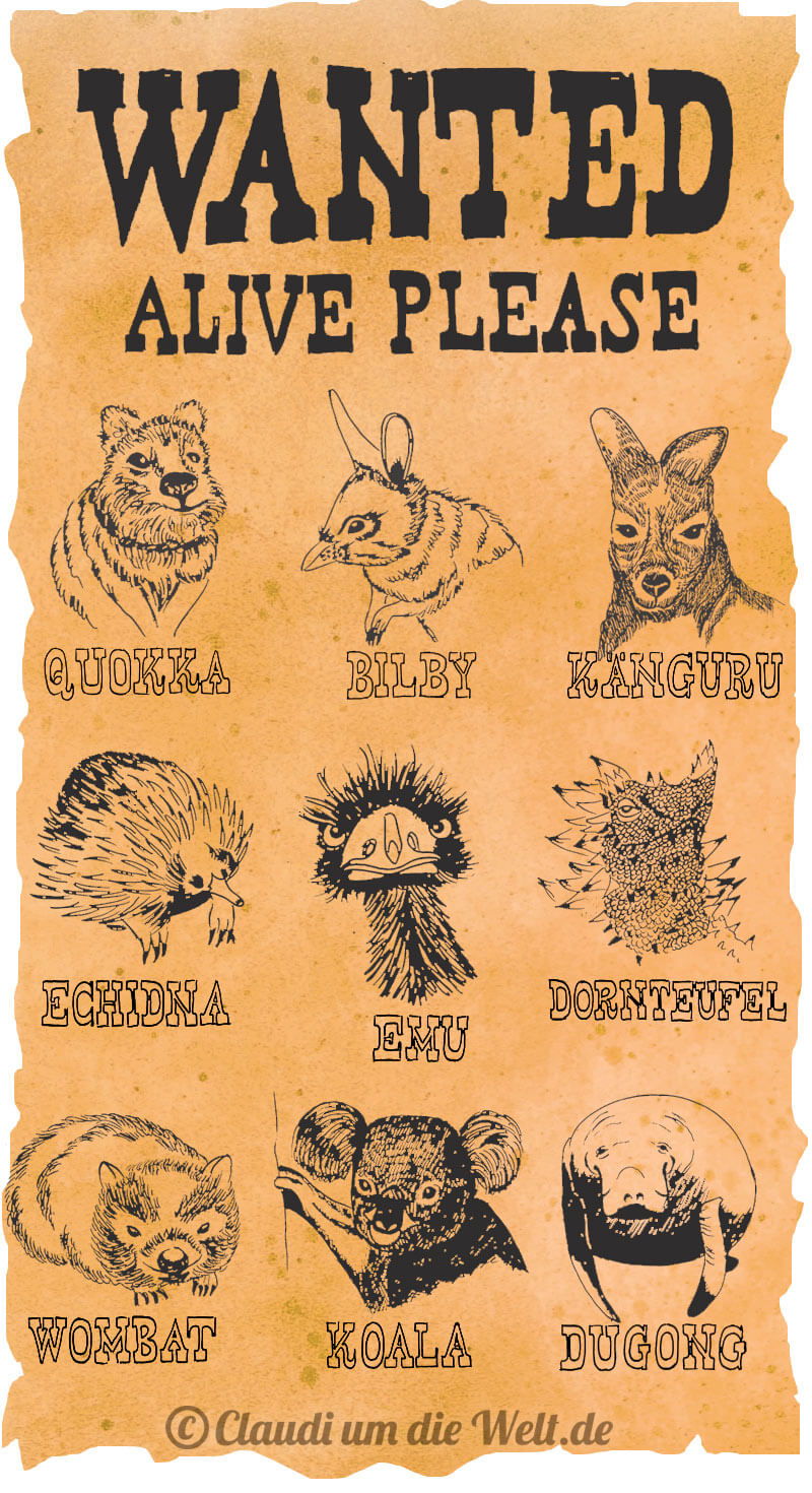 Most Wanted Tiere Australiens