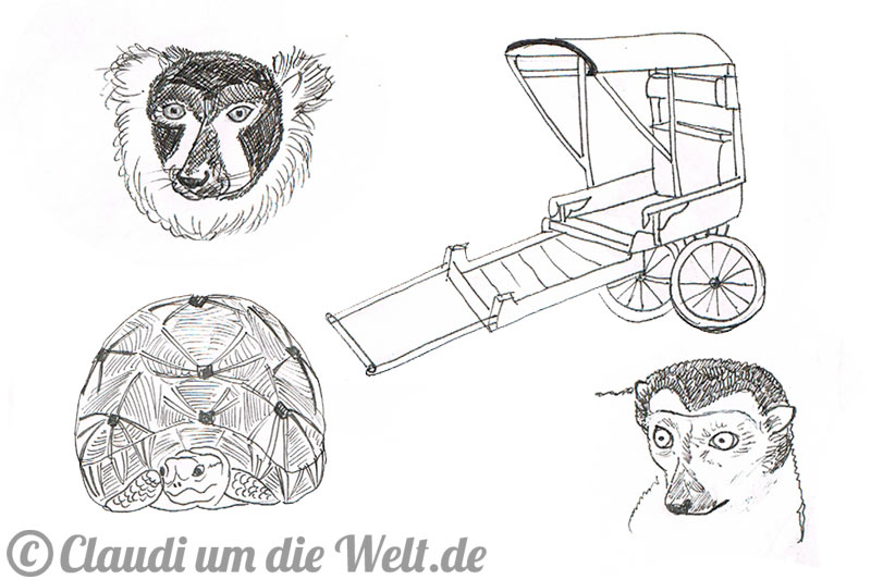 Madagaskar Skizzen