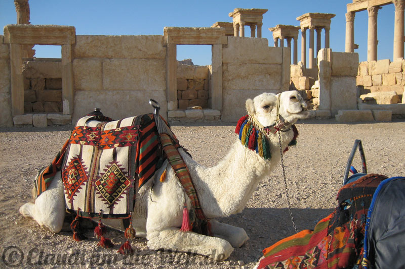 Palmyra Syrien