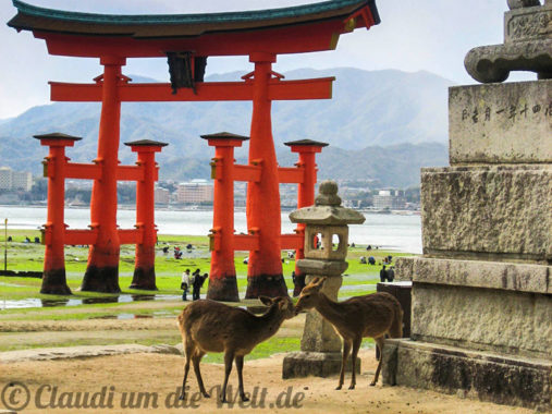 Rehe in Miyajima