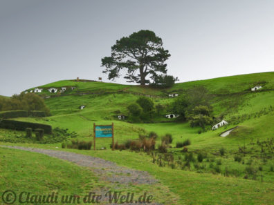 Neuseeland_North_Island_009_Hobbiton