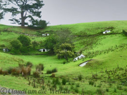 Neuseeland_North_Island_016_Hobbiton