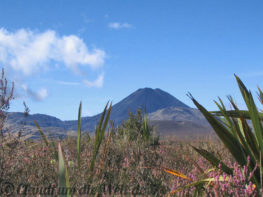 Neuseeland_North_Island_020_Mt Doom - Ruhapehu