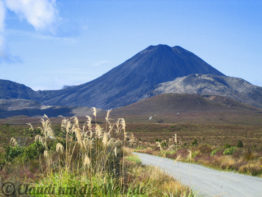 Neuseeland_North_Island_021_Mt Doom