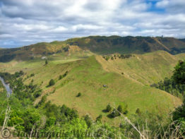 Neuseeland_North_Island_022