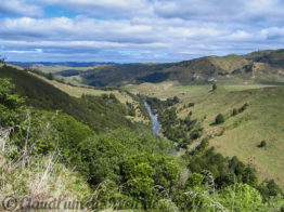 Neuseeland_North_Island_023