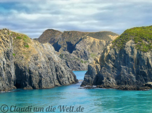 Neuseeland_North_Island_028_Cook Strait