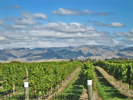 Neuseeland_SouthIsland_001