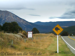 Neuseeland_SouthIsland_002