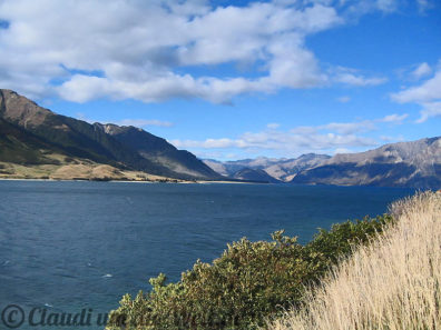 Neuseeland_SouthIsland_010
