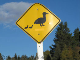 Neuseeland_SouthIsland_018