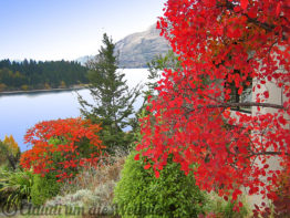 Neuseeland_SouthIsland_021