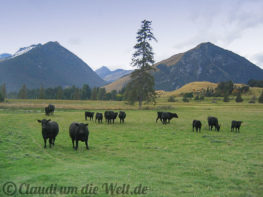 Neuseeland_SouthIsland_026