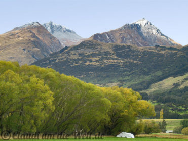 Neuseeland_SouthIsland_030